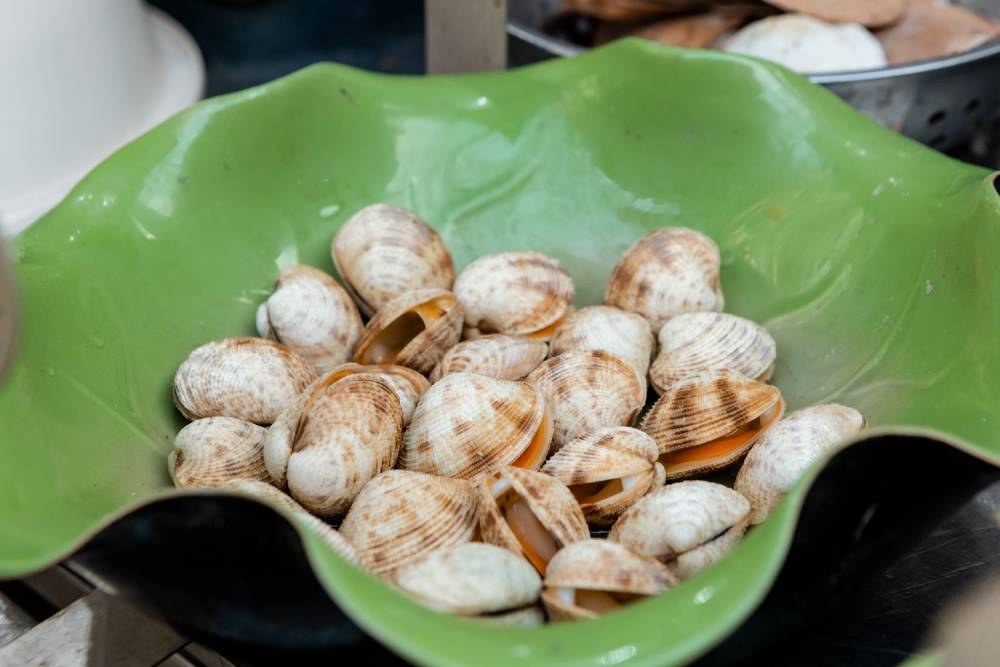 Sò Đỏ Hấp Thái
