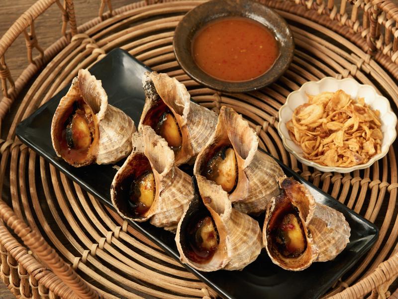 Ốc gai miệng rộng